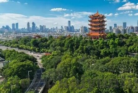 乐鱼体育最新版下载-乐鱼体育，重塑体育娱乐新体验的先锋