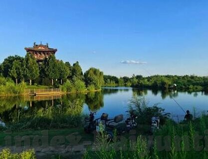 足球查半全场比分-足球迷必看，深度剖析半全场比分预测的奥秘与技巧